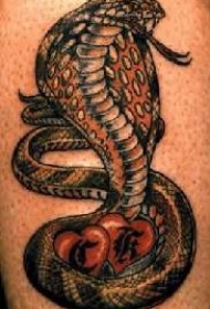 腿部彩色眼镜蛇保护心脏纹身图片