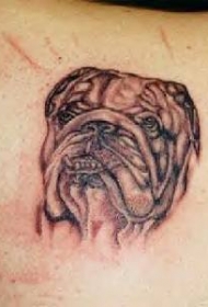 斗牛犬头像纹身图案