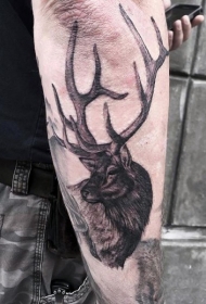 手臂逼真的彩色鹿纹身图案