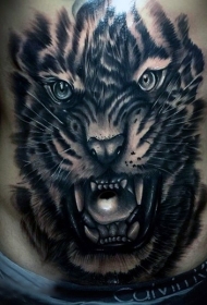 男子腹部现实主义风格的彩色老虎头像纹身图案