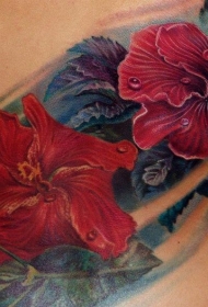 背部壮观的写实美丽花朵纹身图案