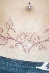 腹部简约棕色葡萄藤纹身图案