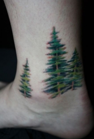 脚部彩色逼真的云杉纹身图片