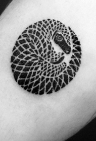 腿部小小的黑白犰狳可爱纹身图案