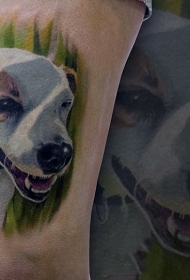 可爱的彩色狗肖像纹身图案