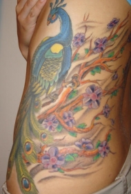 女性腰侧彩色孔雀和树纹身图案