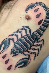 腰侧老式彩色蝎子纹身图案