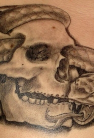 黑灰骷髅蛇纹身图案