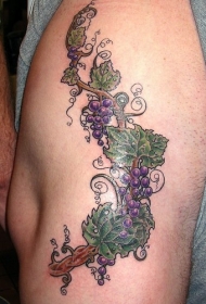 腰侧彩色一串葡萄藤纹身图案