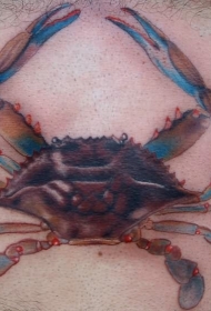 蓝色逼真的螃蟹纹身图案