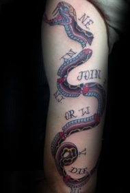 腿部新的学校风格的彩色大蛇纹身