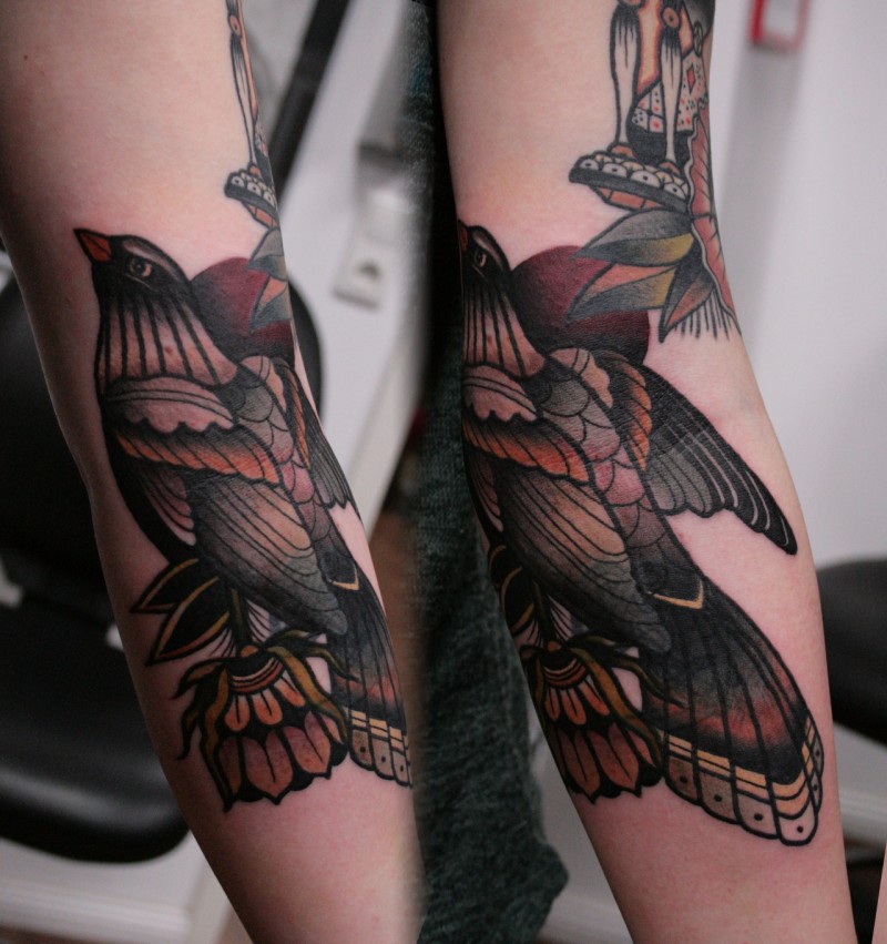 手臂彩色好看的大鸟纹身图案