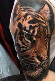优越的现实主义风格彩色老虎纹身图案