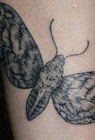 简约黑灰点刺飞蛾纹身图案