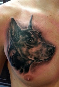胸部写实的黑色杜宾犬纹身图案