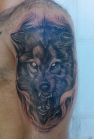 大臂彩色邪恶的狼头纹身图案