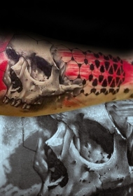 手臂现代传统风格的彩色骷髅纹身图片