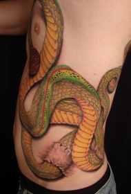 男性腰侧彩色大逼真的蛇纹身图案