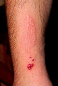 手臂长长的白色羽毛和红色血滴纹身图案