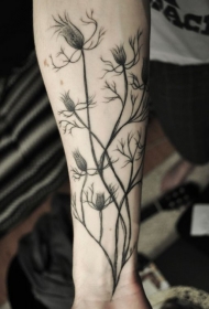 手臂灰色清新植物纹身图案
