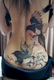 一组女生腰上创意个性唯美纹身图案