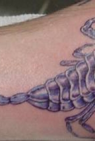 写实的黑色蝎子纹身图案