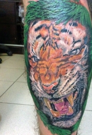 小腿虎纹彩色植物纹身图案