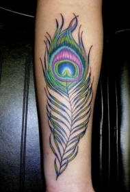 手臂七彩的孔雀羽毛纹身图案