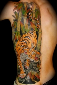背部彩色日本老虎肋骨纹身图案