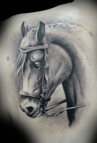 肩部黑色逼真的马纹身图案