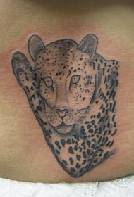 腰部美丽的黑白豹子纹身图案