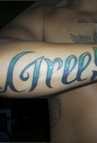 手臂彩色花体字符纹身图案