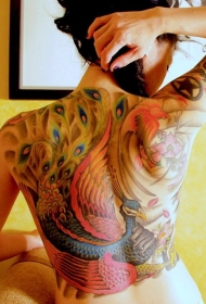 背部插画风格丰富多彩的孔雀纹身图案
