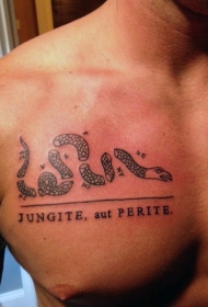 胸部神奇的黑色断裂蛇和字母纹身图案