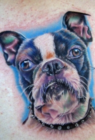 写实的好看小狗纹身图案