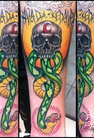 手臂插画风格的彩色大蛇与骷髅头纹身