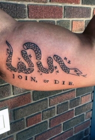 大臂经典的黑色蛇象征死亡纹身图案