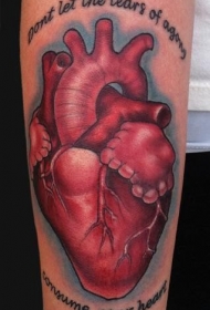 手臂彩色逼真的心脏与英文纹身图案