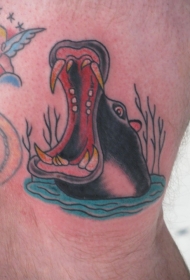 腿部彩色河马头纹身图案