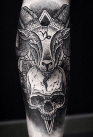 小臂黑色点刺的山羊头颅骨和骷髅纹身图案