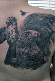 背部写实华丽的逼真各种鹰纹身图案