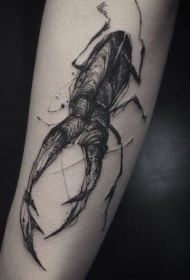 素描风格黑色线条昆虫小臂纹身图案