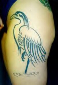 丹顶鹤黑色线条纹身图案