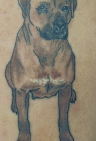 獒犬个性纹身图案
