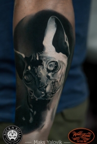 石雕风格黑白猫腿部纹身图案