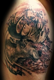 肩部自然的彩色山间麋鹿纹身图案