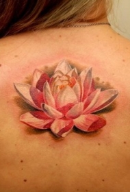 背部写实美丽的粉红色与白色莲花纹身图案