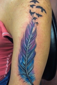 手臂上五彩的羽毛和黑色小鸟纹身图案