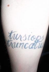 男性腿部黑色字母纹身图案