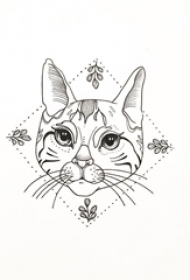 黑色素描几何元素菱形树叶框中创意花纹猫咪纹身手稿